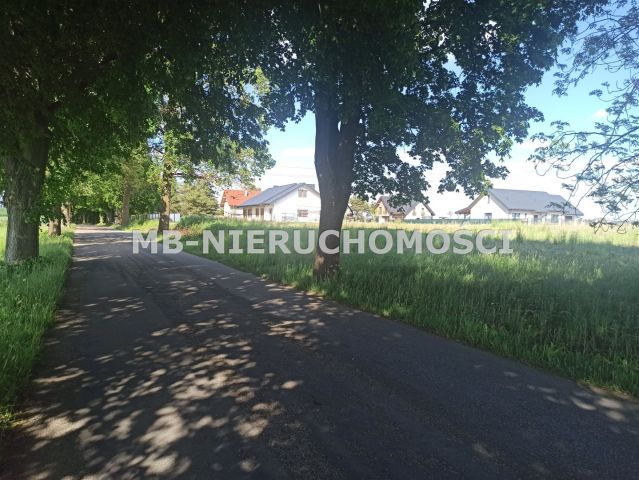 Działka budowlana Królikowo. Zdjęcie 8