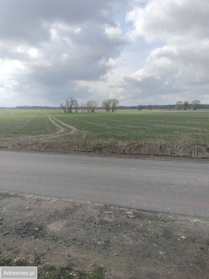 Działka inwestycyjna Sokolniki. Zdjęcie 1