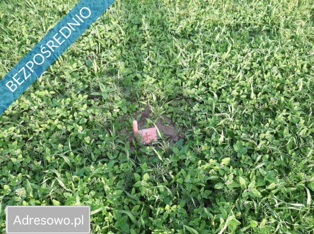 Działka rolno-budowlana Pobłocie. Zdjęcie 2