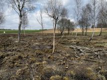 Działka rolno-budowlana Nowy Wiec. Zdjęcie 2