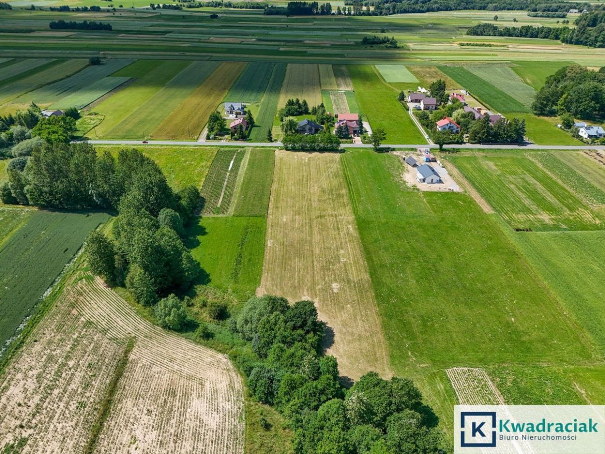 Działka budowlana Bzianka. Zdjęcie 4