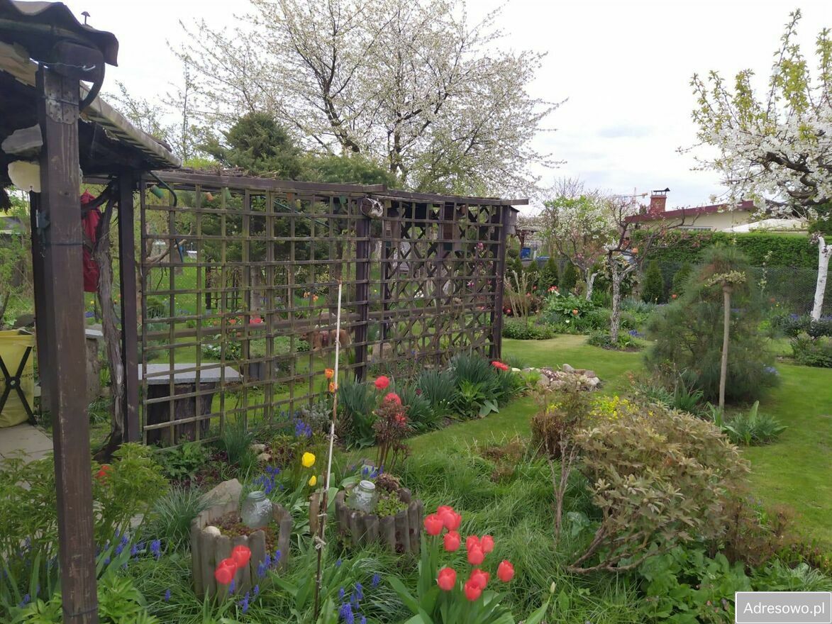 Działka rod Gliwice. Zdjęcie 6