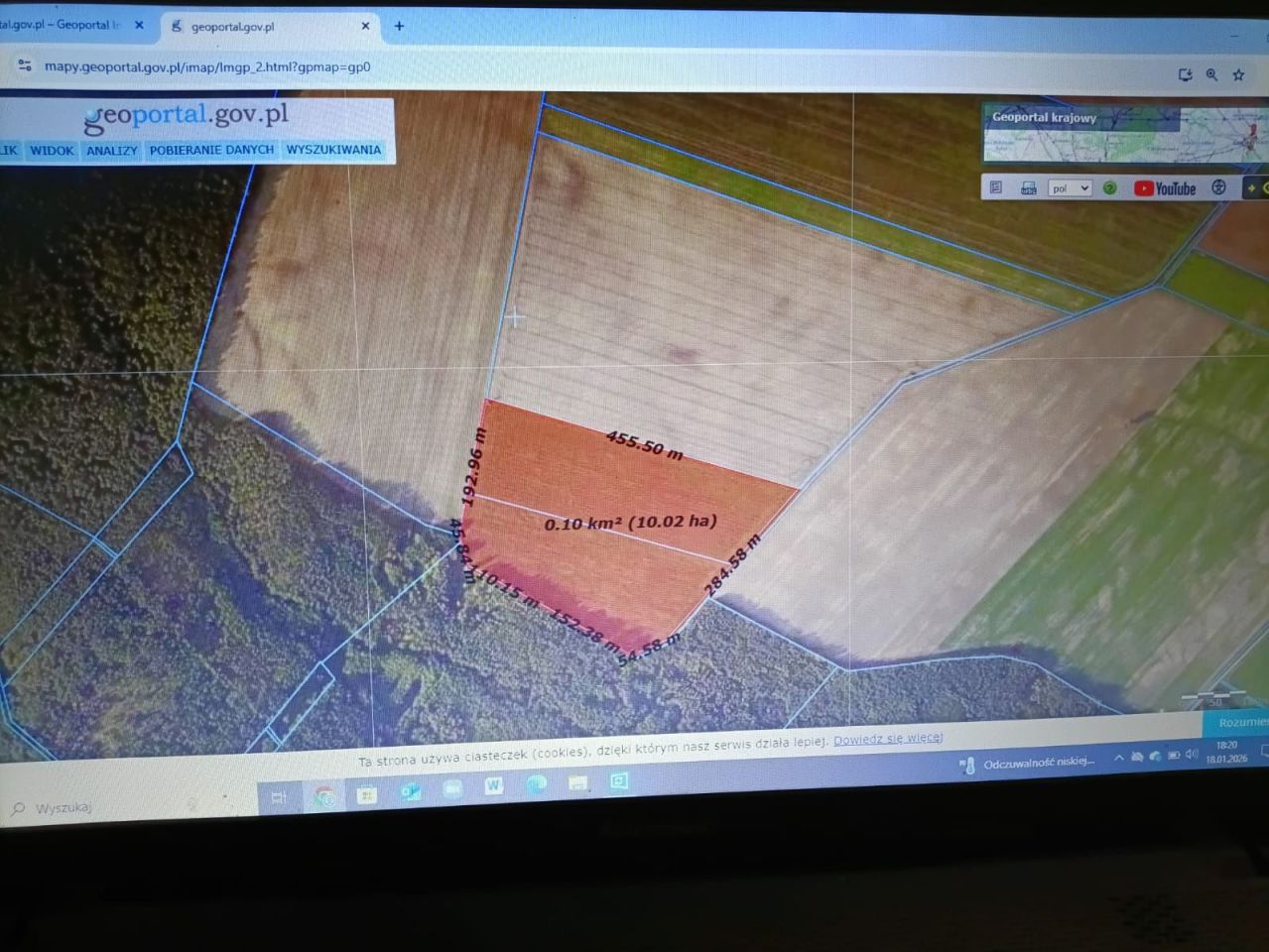 Działka rolna Orzełek. Zdjęcie 6