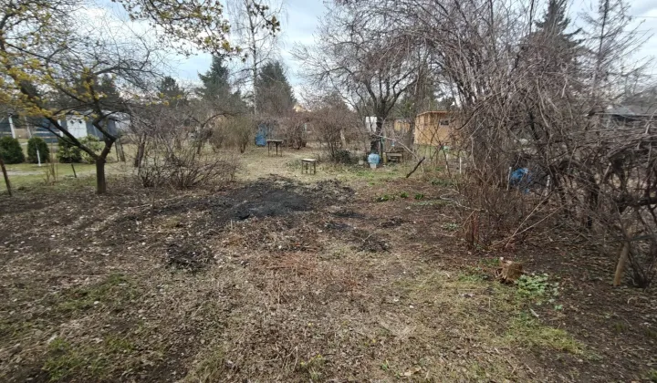 Działka rod Wrocław Śródmieście, ul. Odona Bujwida