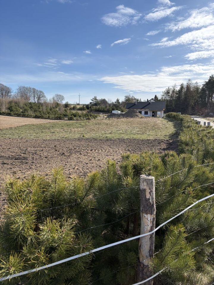 Działka budowlana Grabowiec, ul. Koszarowa. Zdjęcie 1