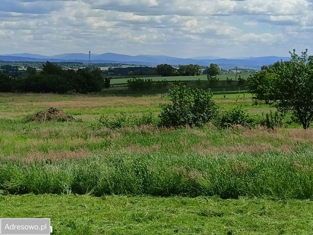 Działka budowlana Rybna. Zdjęcie 1