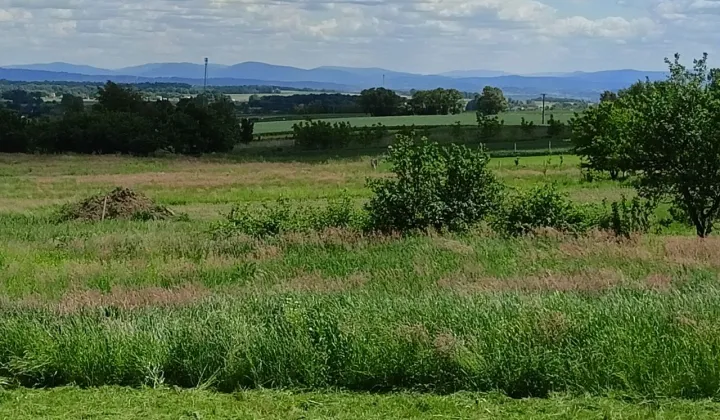 Działka budowlana Rybna