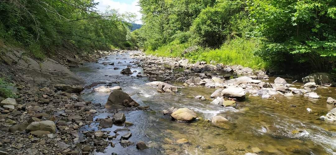 dom wolnostojący, 4 pokoje Przyborów, ul. Nadrzeczna. Zdjęcie 16