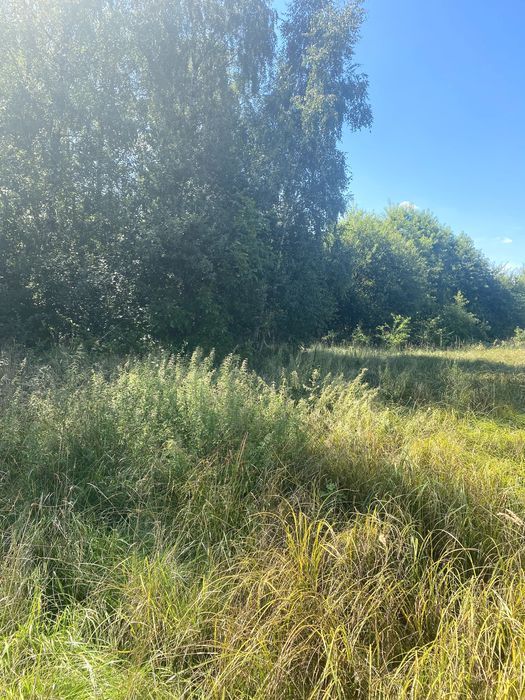 Działka rolna Radomsko. Zdjęcie 2