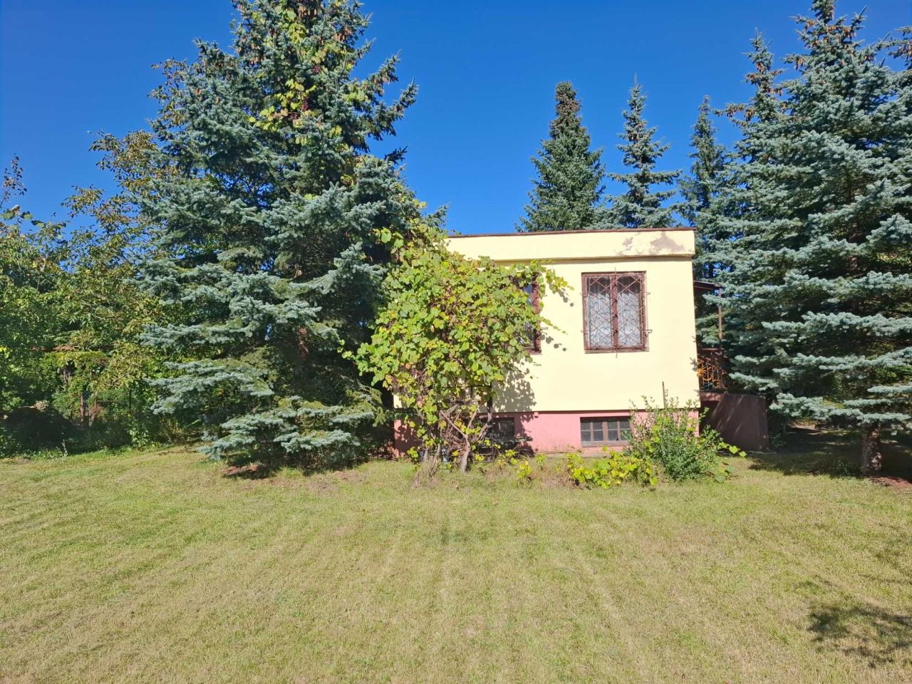 Działka rod Łódź Olechów, ul. Zakładowa