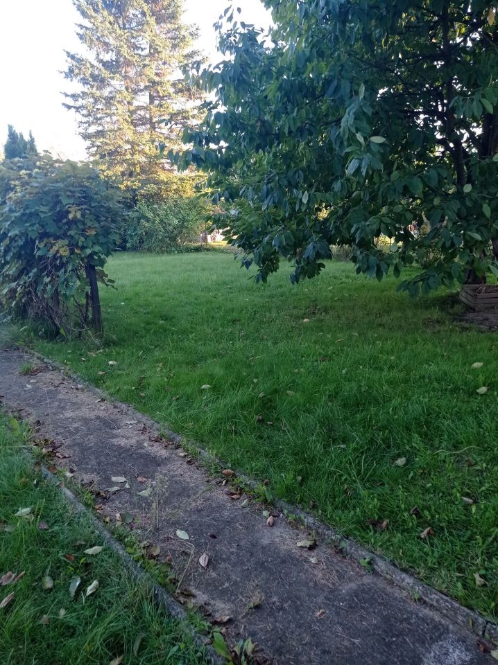 Działka rod Iława. Zdjęcie 5