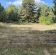 Działka budowlana Miłocice, ul. Leśna. Zdjęcie 6