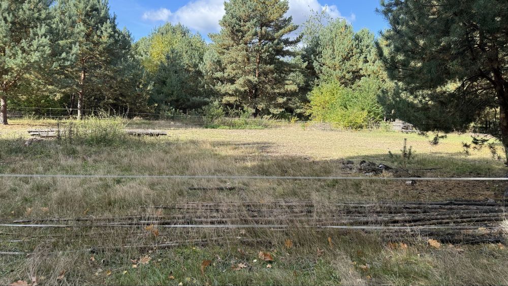 Działka budowlana Miłocice, ul. Leśna. Zdjęcie 6