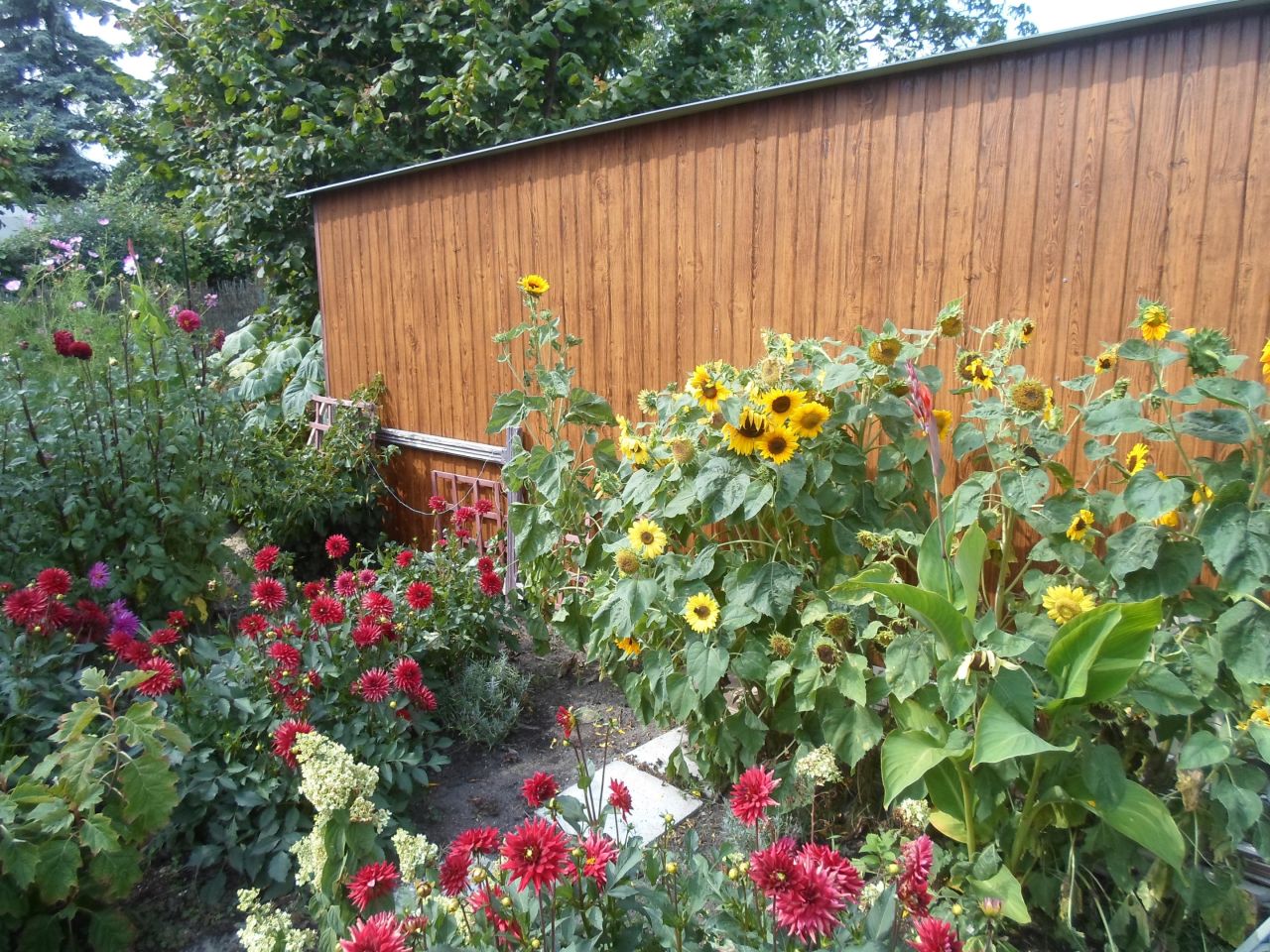 Działka rod Toruń Mokre, ul. Bolesława Chrobrego. Zdjęcie 18