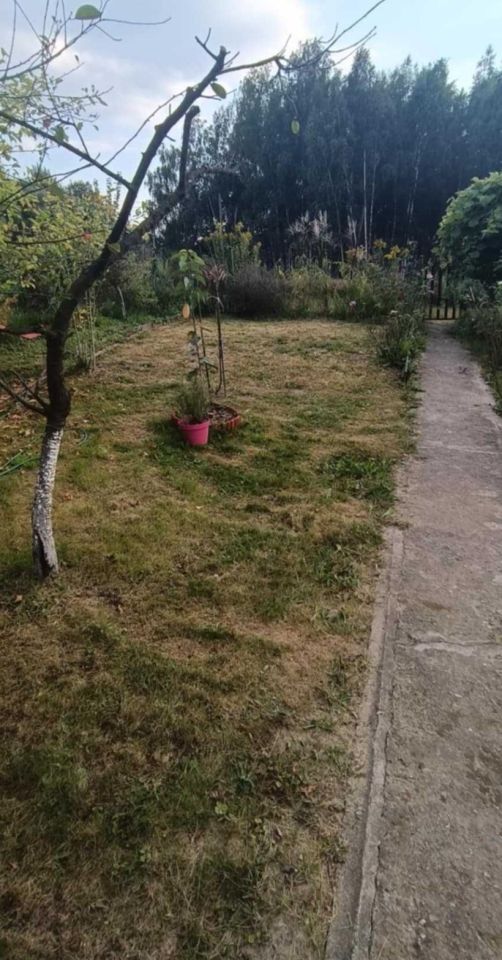 Działka rod Jastrzębie-Zdrój Zofiówka, ul. Wojciecha Korfantego. Zdjęcie 2