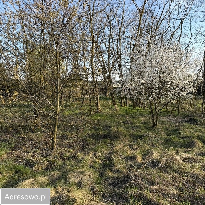 Działka budowlana Balczewo. Zdjęcie 3