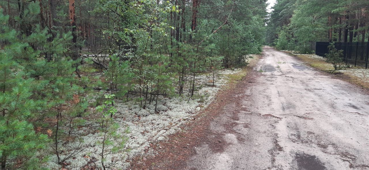 Działka budowlana Popowo-Letnisko, ul. Słoneczna. Zdjęcie 4