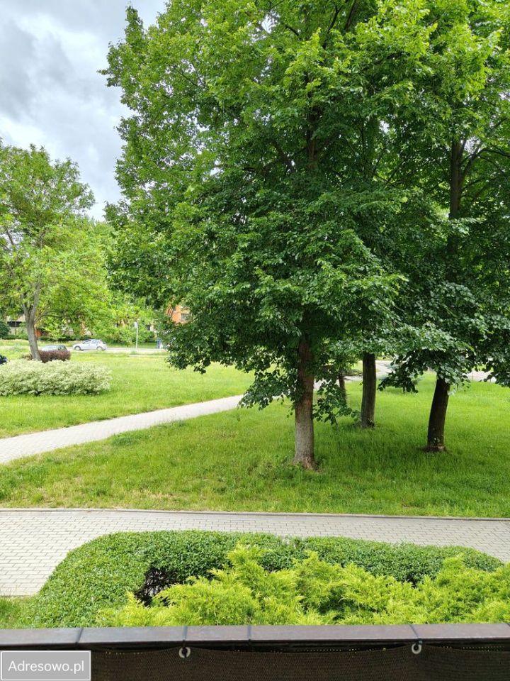 Mieszkanie 2-pokojowe Pabianice, ul. Mokra. Zdjęcie 19