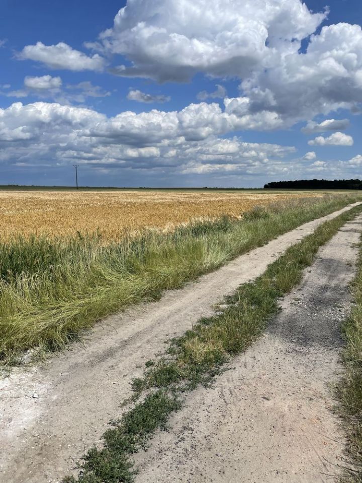 Działka budowlana Niemil. Zdjęcie 3