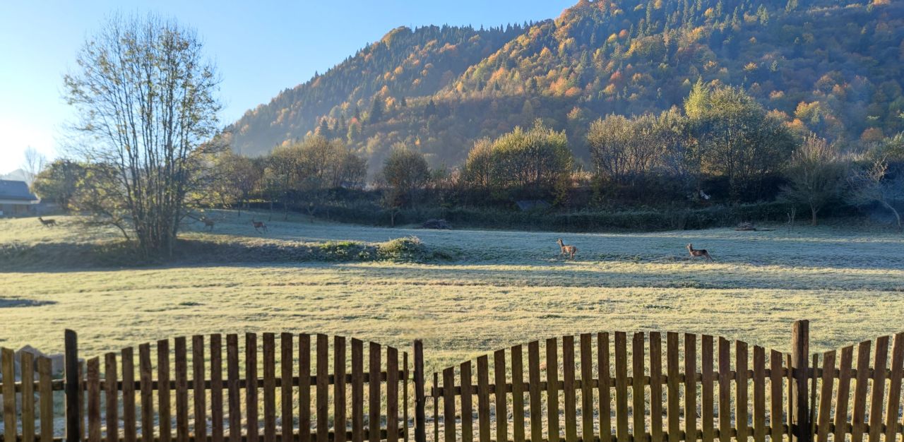 budynek wielorodzinny, 14 pokoi Szczawnica, ul. Szlachtowska. Zdjęcie 17