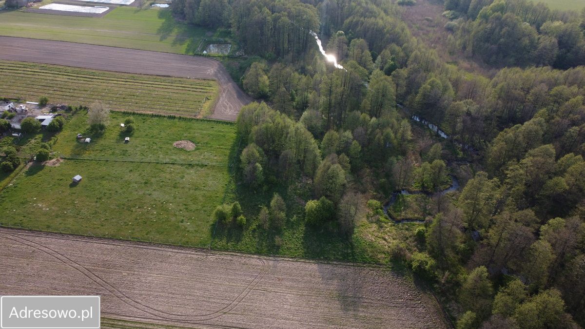 Działka rolno-budowlana Lubiska-Kolonia. Zdjęcie 2