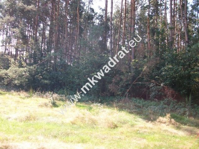 Działka rolna Budy Mszczonowskie. Zdjęcie 2