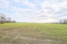 Działka rolna Cisy, Cisy. Zdjęcie 2