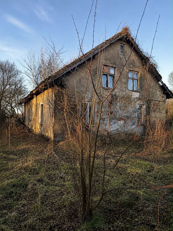 Działka siedliskowa Frączki. Zdjęcie 1