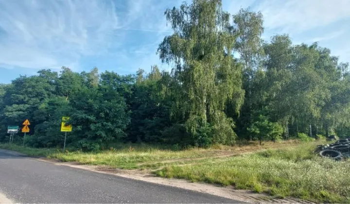 Działka leśna Chrośnica