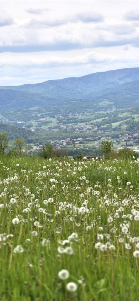 dom wolnostojący, 3 pokoje Maków Podhalański. Zdjęcie 13