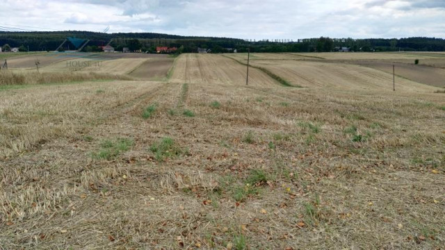 Działka rolno-budowlana Ratajów. Zdjęcie 1
