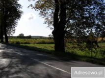 Działka budowlana Myślibórz. Zdjęcie 3