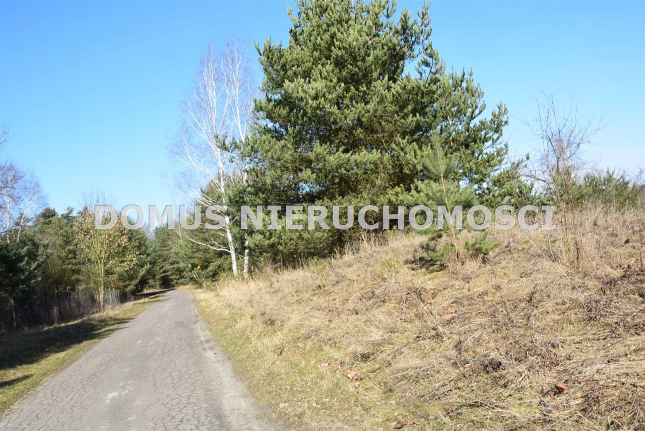 Działka Tworzyjanki. Zdjęcie 4