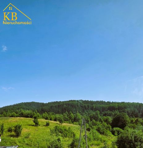 Mieszkanie 4-pokojowe Jedlina-Zdrój Glinica, ul. Kamienna. Zdjęcie 13