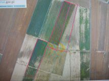 Działka rolna Naborowo. Zdjęcie 1