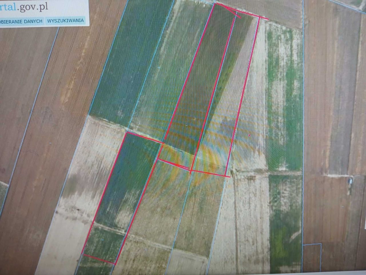 Działka rolna Naborowo. Zdjęcie 2