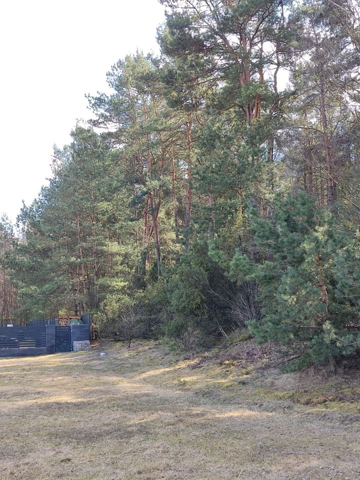 Działka budowlana Sąsieczno Miszek, ul. Adama Mickiewicza. Zdjęcie 8