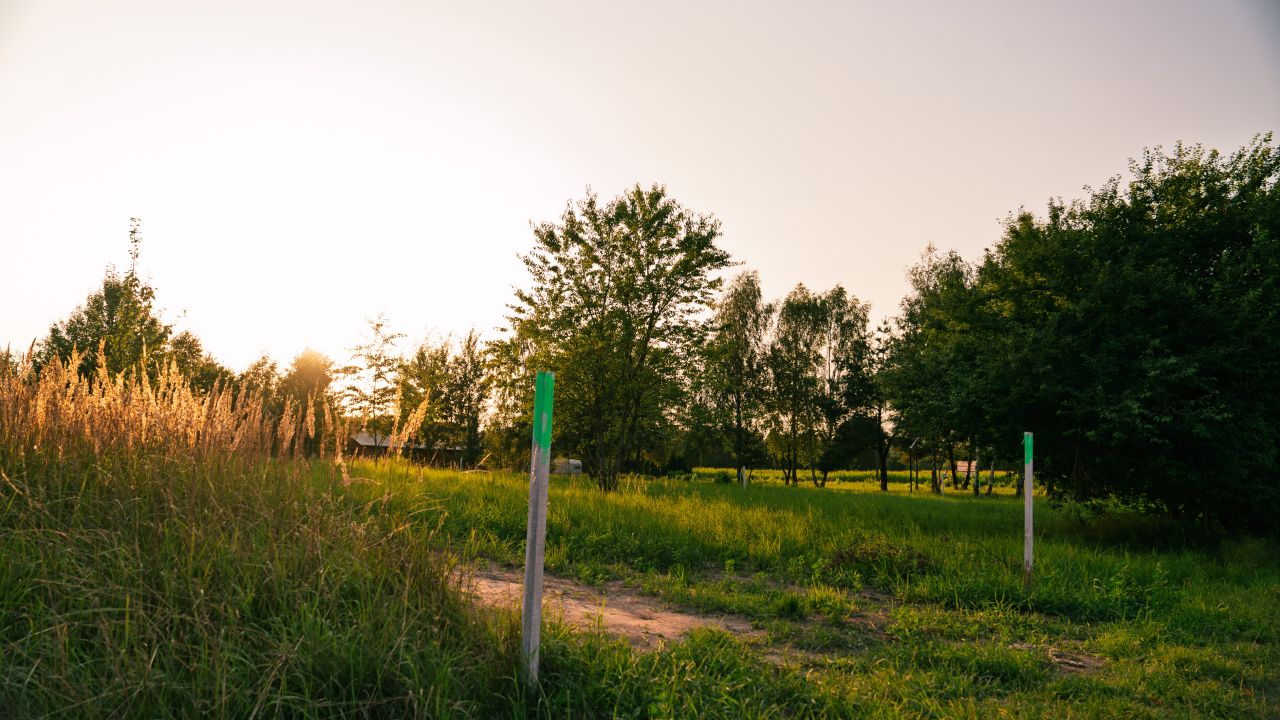 Działka rekreacyjna Orzechów-Kolonia. Zdjęcie 17