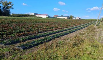 Działka rolno-budowlana Grotów