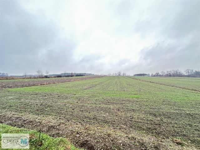 Działka Śladków Duży. Zdjęcie 4