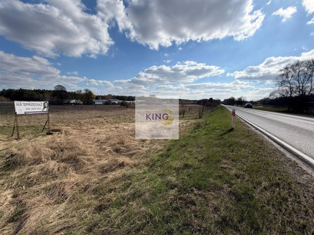 Działka inwestycyjna Pniewo. Zdjęcie 5