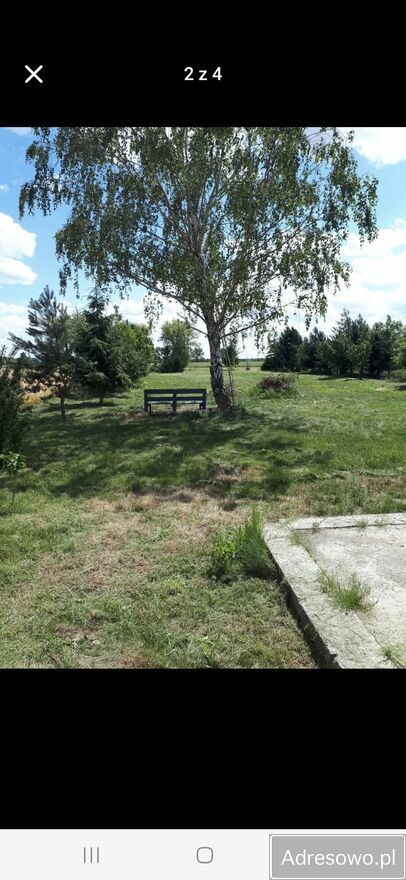 Działka Golina. Zdjęcie 5