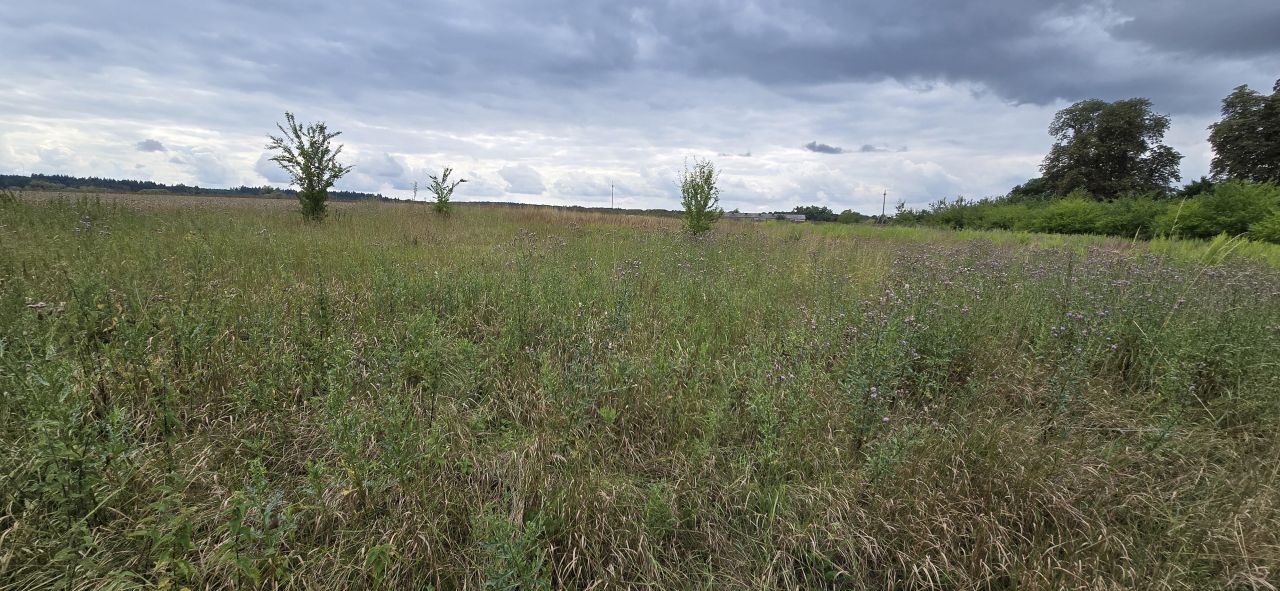 Działka rolna Krzymów. Zdjęcie 8