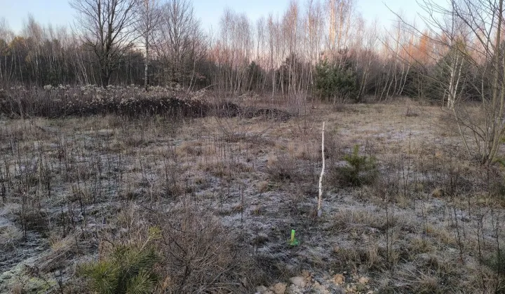 Działka budowlana Jasienica, ul. Wołomińska