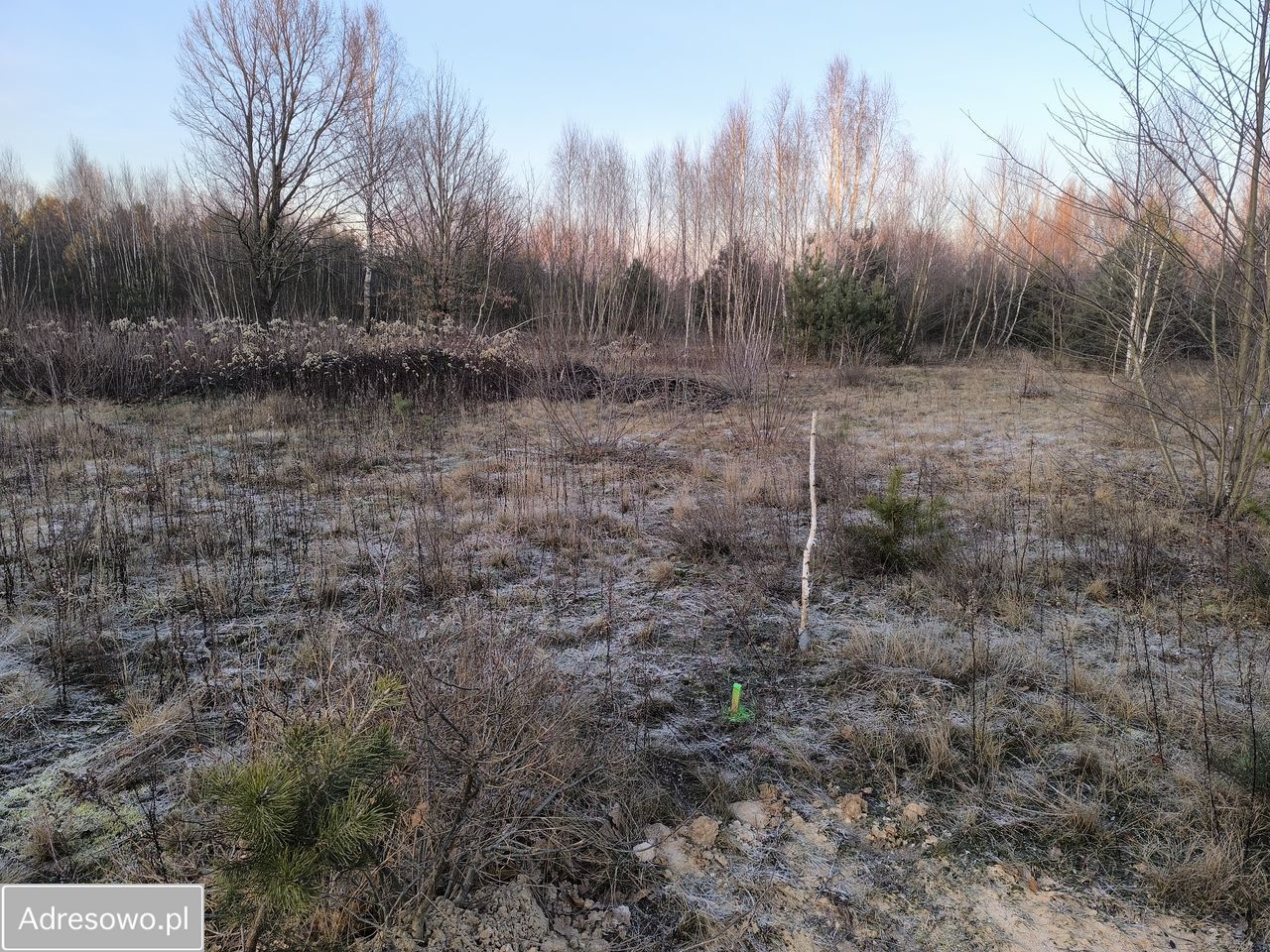 Działka budowlana Jasienica, ul. Wołomińska. Zdjęcie 1
