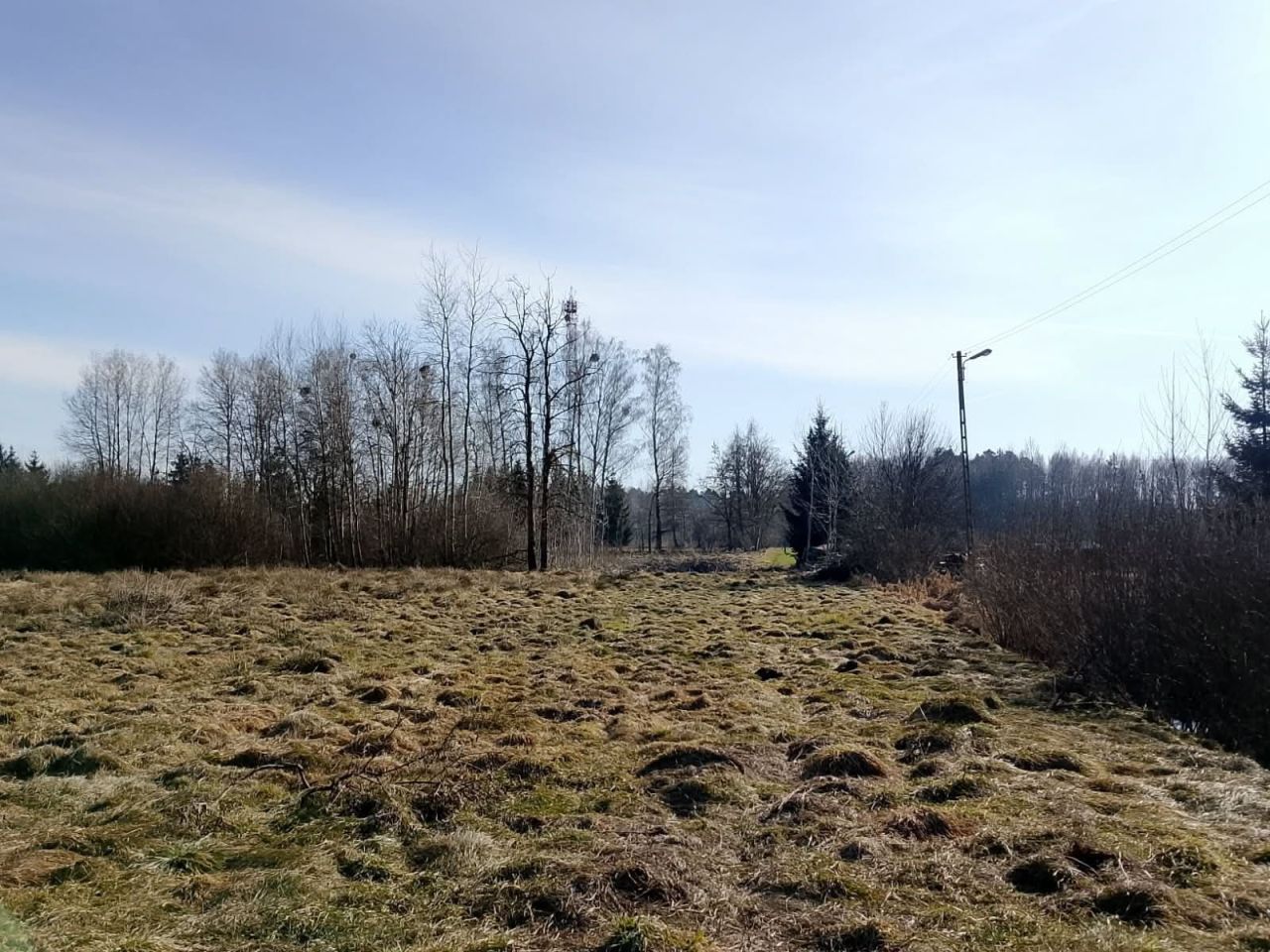 Działka rolna Szczutowo. Zdjęcie 2