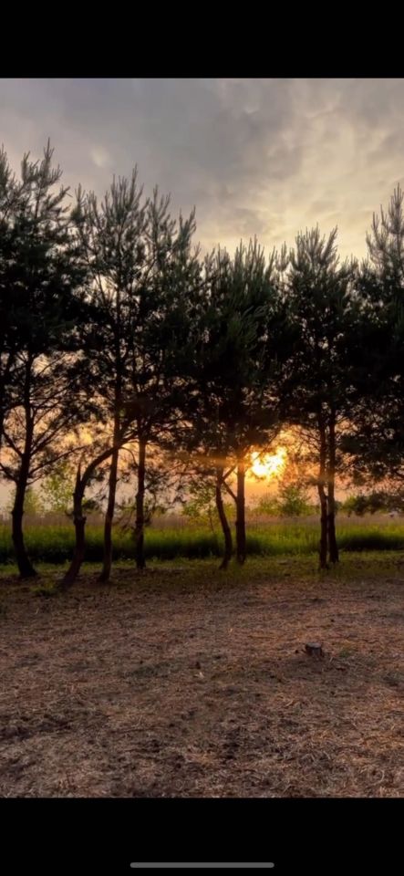 Działka budowlana Wąsy-Kolonia. Zdjęcie 3