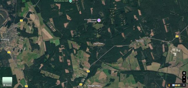Działka leśna Siedlisko. Zdjęcie 1