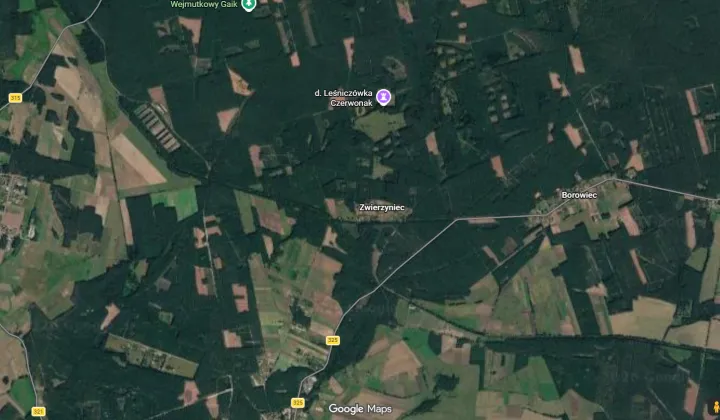 Działka leśna Siedlisko, Brak