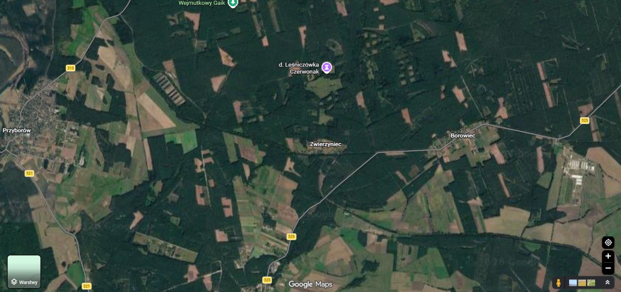 Działka leśna Siedlisko. Zdjęcie 1